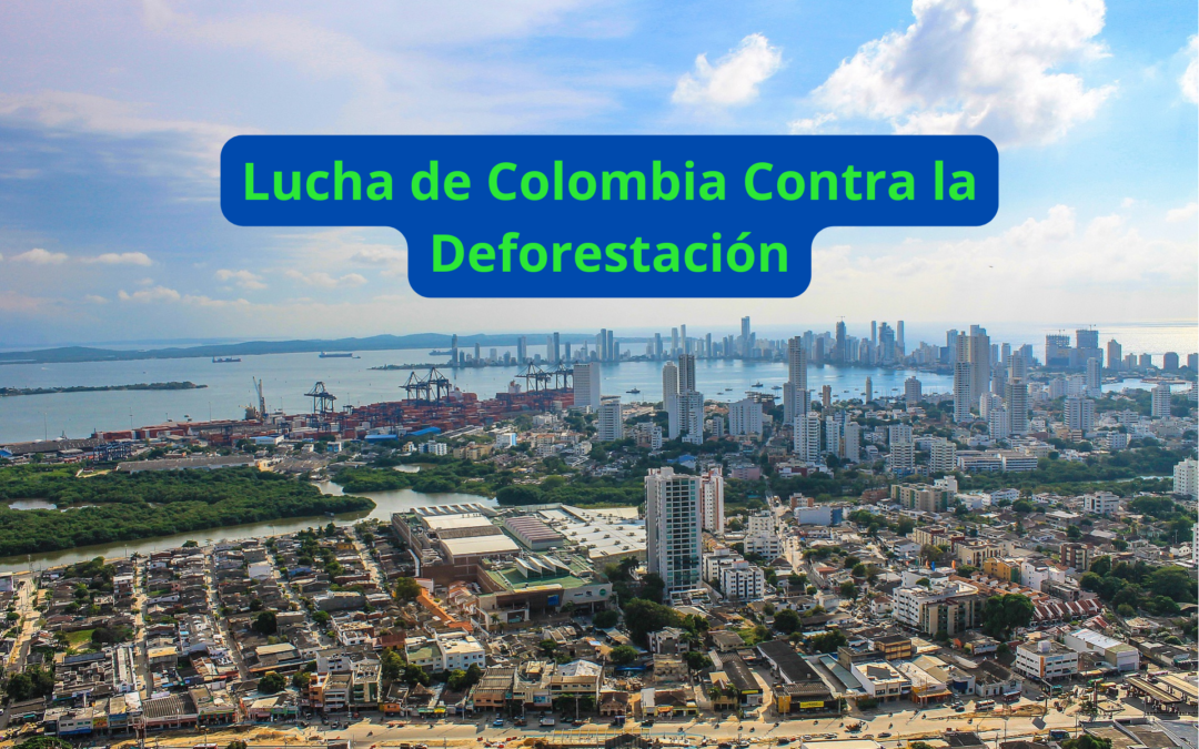 Lucha de Colombia contra la deforestación en la Amazonia Ahora