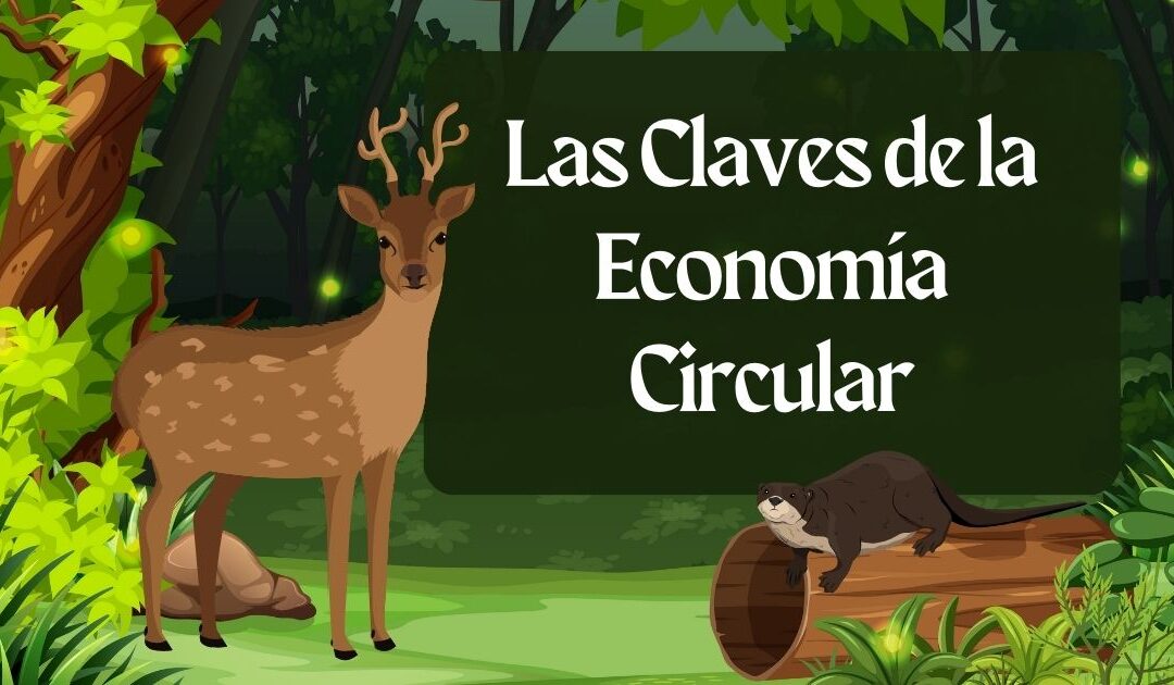 Las Claves de la Economía Circular Para Reciclar Más Ahora